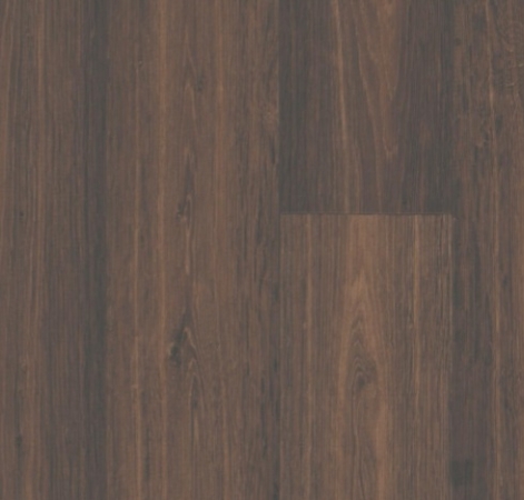Elast 20 Classic-Kompakt 7003